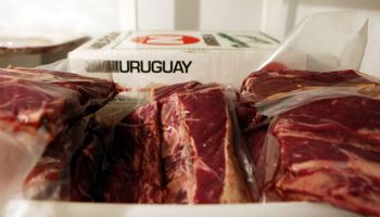 China compró un 34% de la carne uruguaya