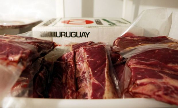 China importó también de Uruguay carne ovina por un total de US$ 4,225 millones