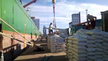 Entre Ríos: exportarán 13.500 toneladas de arroz a Irak