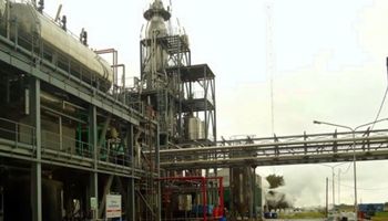 Biodiesel a Europa: ya hubo negocios por 97.000 toneladas