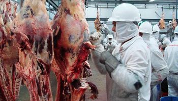 Exportación de carne cayó un 16% durante 2016