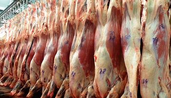 Las exportaciones argentinas cayeron 20% en julio
