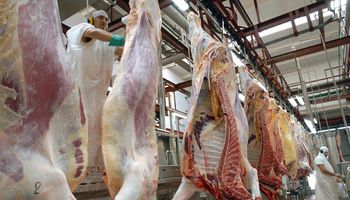 Suben 7% las exportaciones de carne y China se consolida como principal destino