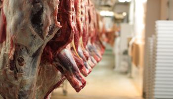 Los detalles del regreso de la carne argentina a Canadá