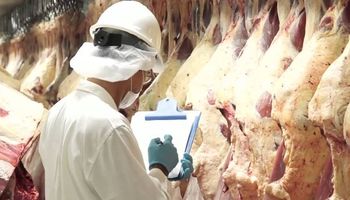 Impacto de la restitución de los reintegros a las exportaciones