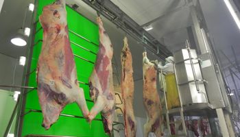 China se consolida como principal mercado para las carnes uruguayas