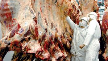 Exportación de carne en 2016 fue la sexta más baja de la historia