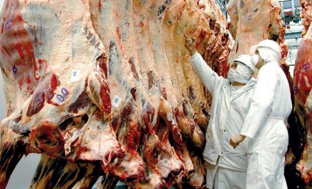 Durante el 2016 las exportaciones de carnes bovinas totalizaron 237 mil toneladas peso res, un 19% más que en 2015.