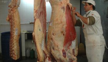 Exportaciones de carne aumentaron 23% en enero
