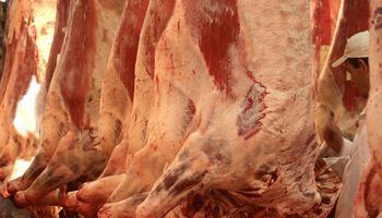 Exportaciones argentinas de carne: en marzo continuó el crecimiento