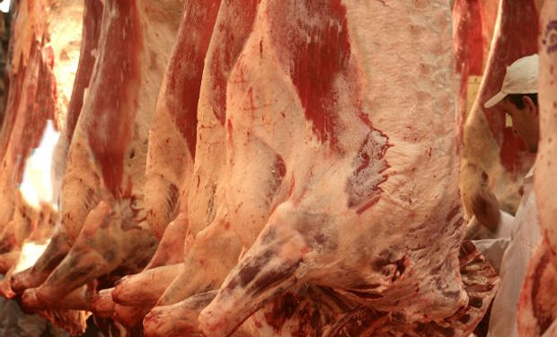 Pequeñas subas llevaron el acumulado de 12 meses de 203 mil tec, a mediados de 2016, a las 248 mil tec actuales.