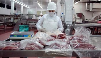 Mejores márgenes de exportación para la carne impulsan envíos
