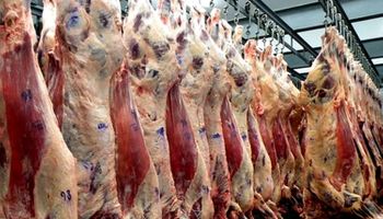 Gracias a China, proyectan un buen año para las exportaciones de carne
