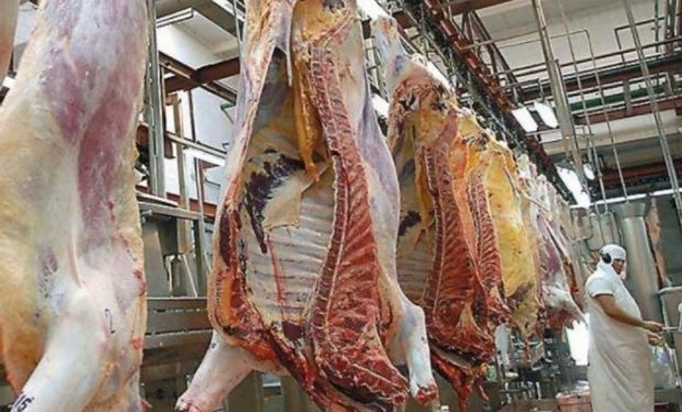 La crisis del sector exportador de carnes en Brasil comenzó en marzo, cuando un operativo de la Policía Federal denominado "Carne Fraca".