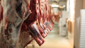 Argentina podría regresar en 2018 al top 10 de países exportadores de carne