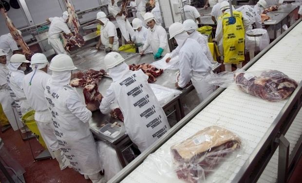 Sólo se embarca al gigante asiático carne congelada sin hueso.