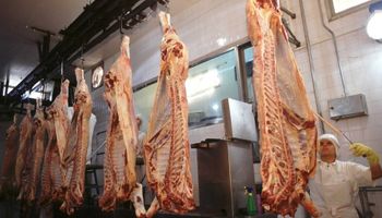 Se viene una reunión clave en Bruselas para exportar más carne argentina