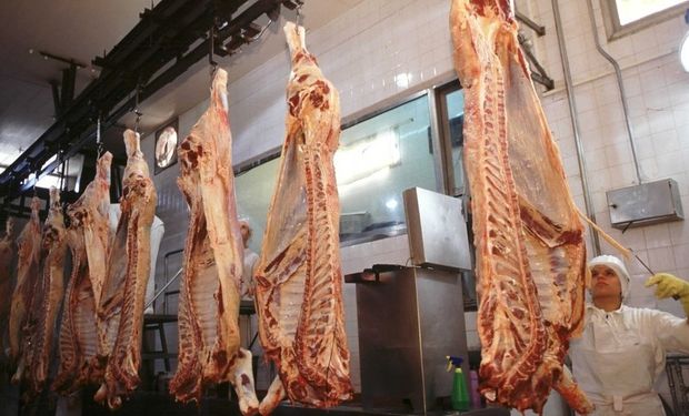 La UE pretende comercializar con el Mercosur 70.000 toneladas de carne equivalente res con hueso.