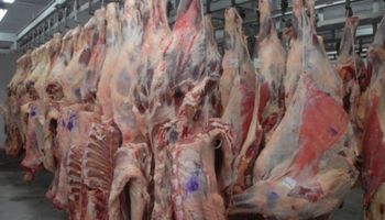 Aseguran que el acuerdo con China generará récords en venta de carne