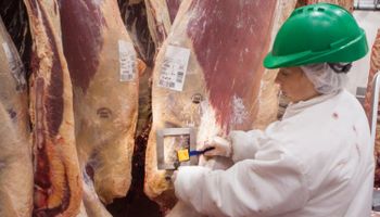 Arabia Saudita reconoció al Senasa para validar sus importaciones de carne argentina