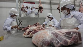 "Se necesitará más carne" para exportar