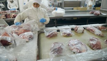 Argentina podrá exportar carne y menudencias a Cabo Verde