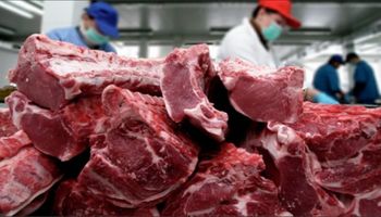 Destacan buenas oportunidades en el mundo de las carnes