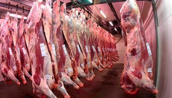 Las exportaciones de carne venían creciendo hasta la aparición del COVID-19