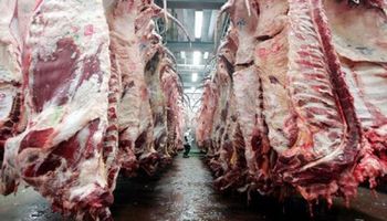 Atraso cambiario preocupa a los exportadores de carne