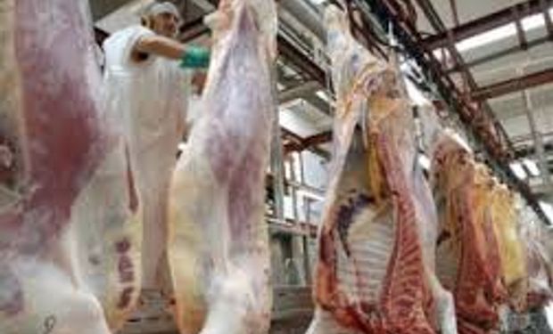 Carne: Brasil exportó doce veces más