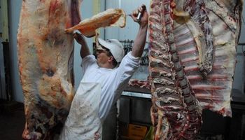 La Mesa de las Carnes le presentará a Macri una propuesta para los novillos pesados