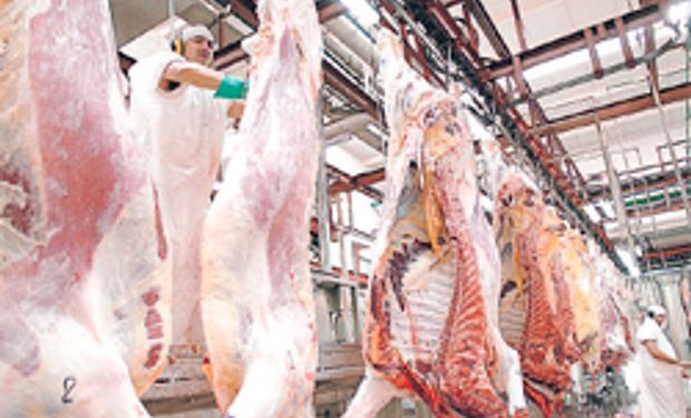Cayó un 11% la exportación de carne
