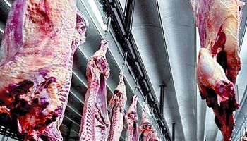 Nuevo resbalón en la exportación de carne