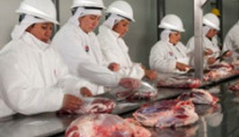 Exportaciones argentinas de carne, algo más altas