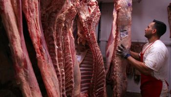 Argentina ya exportó más carne a China que en todo 2015
