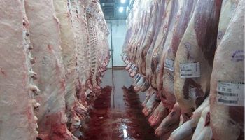Las exportaciones de carne crecieron un 39%