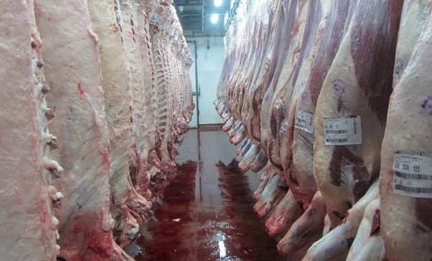 China fue el principal comprador con 5.200 toneladas. Le siguió Chile, en la cual se envió al país trasandino un total de 4.600 toneladas.
