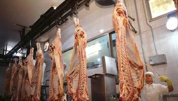 Ahora, unen esfuerzos para impulsar la exportación de carne