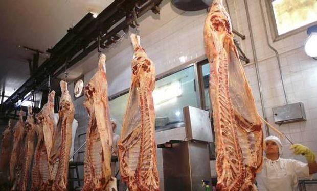 El camino de la recuperación no será vertiginoso y seguramente tendrá oscilaciones.