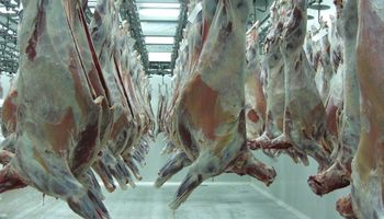 Uruguay agregará la calidad nutricional en promoción de carne