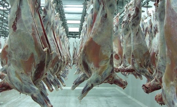 Aguerre dijo que en su disertación "adelantamos la estrategia de Uruguay, que es el camino de la intensificación sostenible y diferenciada con que promovemos la carne uruguaya".