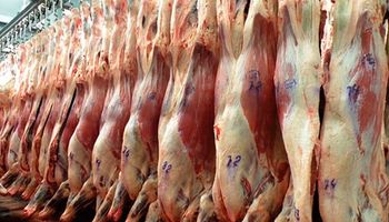 Crecieron las exportaciones uruguayas de carne