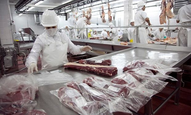 Exportaciones de carnes: el Gobierno suspendió a seis empresas y decomisó 220 toneladas de carne vacuna 