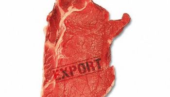 Exportaciones argentinas de carne en continuo retroceso