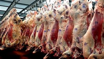 Exportaciones de carne uruguaya subieron 3,6%