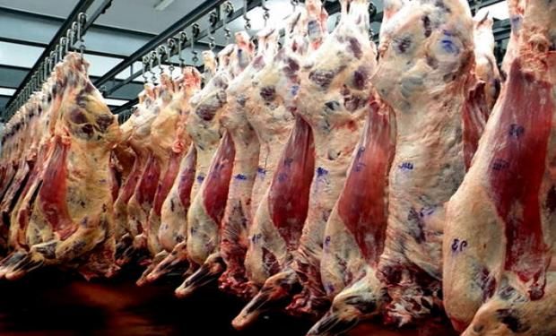 China y Hong Kong se siguen mostrando interesadas en la carne argentina, registrando un aumento interanual drástico (+130%).