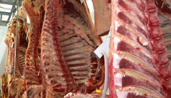 China autoriza exportaciones de 17 frigoríficos brasileños