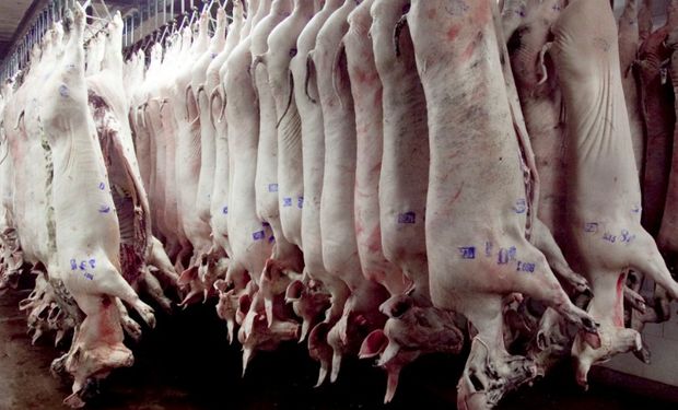 Aumento de reintegros a las exportaciones de la cadena porcina.