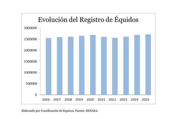 Exportación de equinos