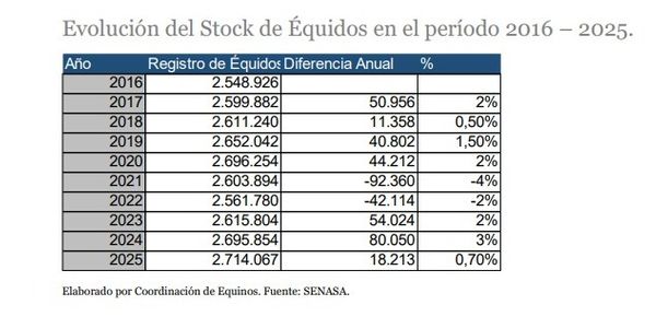 Exportación de equinos